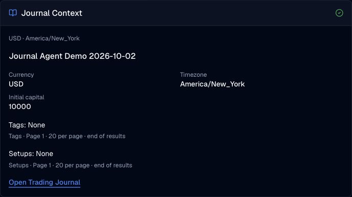 Synthetic journal context with account currency, timezone, initial capital and separate tag and setup pages.